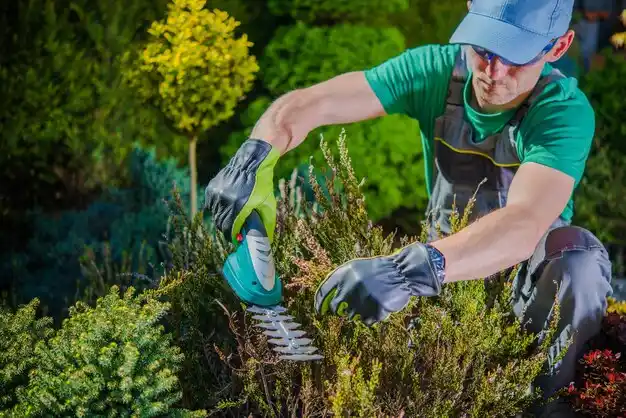 landscaping services Oak Grove Village